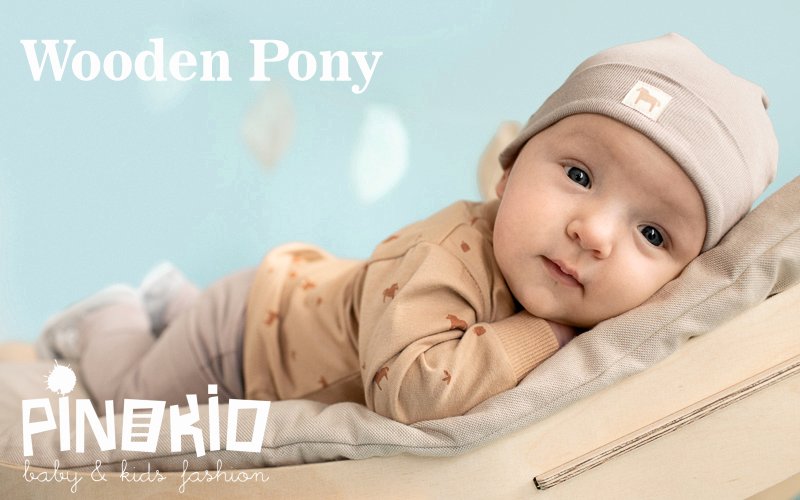 Wooden Pony